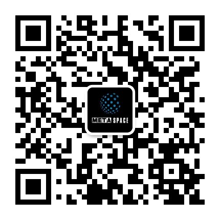 Meta Space DAO