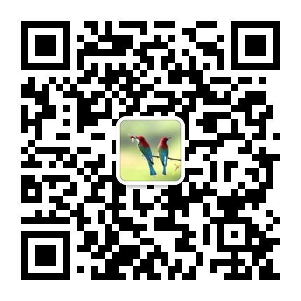 因為有愛銀川阿滿