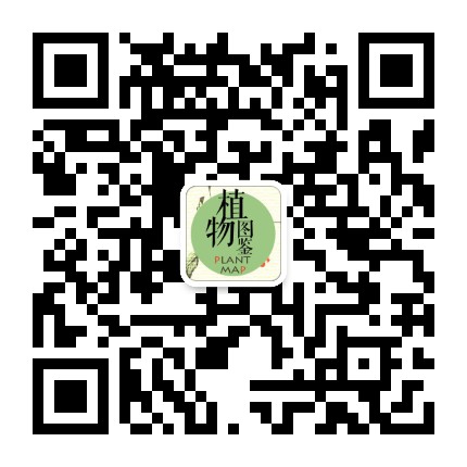 植物圖鑒