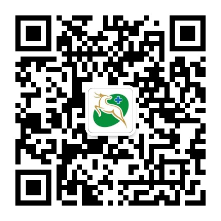 鹿城健康365