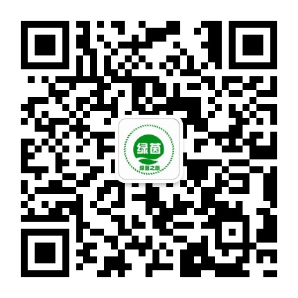 绿茵大神探