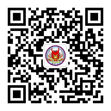 南开龙舟