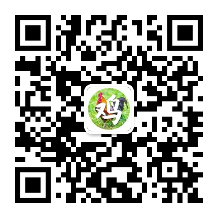 生肖雞運勢大全