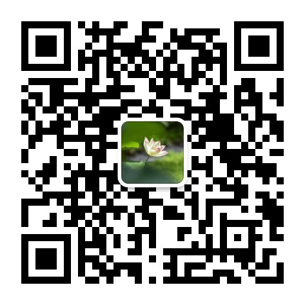 刘暗花明又一村