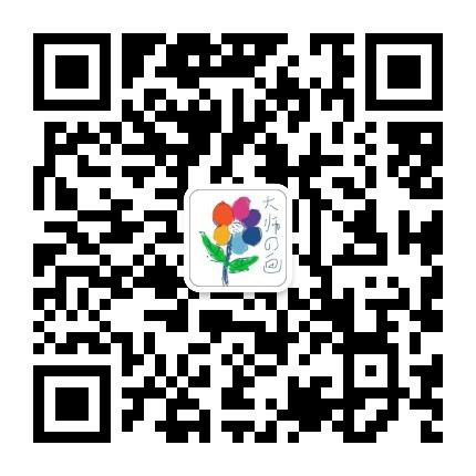 没头脑和没头发