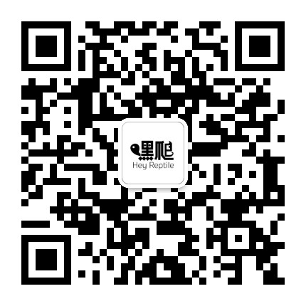 嘿爬HEYREPTILE