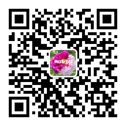 青红皂个白