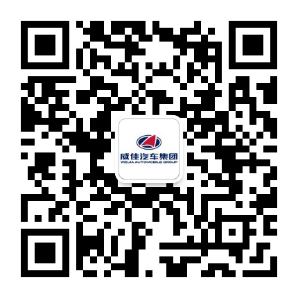 河南威佳汽车集团