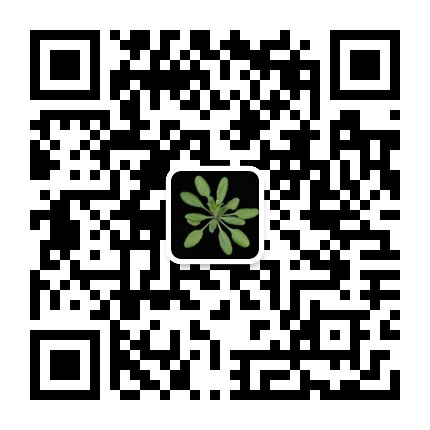 全球植物研究进展