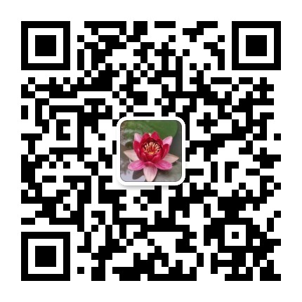 每天十分钟学佛快乐又轻松