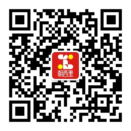 朝西里设计学院