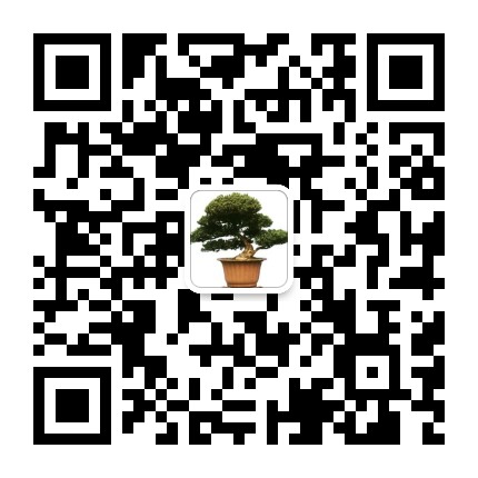 南通盆景网