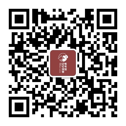 毛毛宠记忆城堡