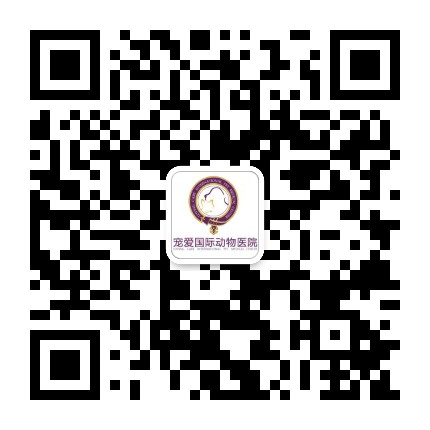 宠爱国际动物医疗