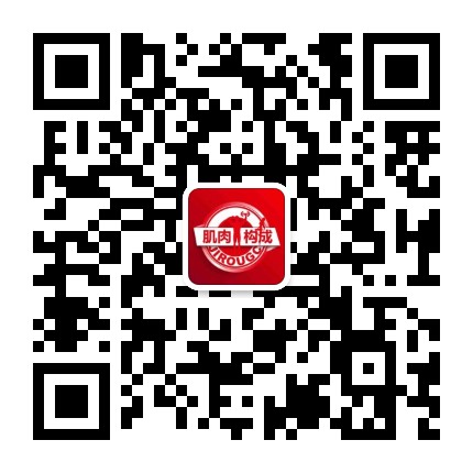 肌肉构成
