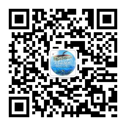 CG杨杰科研绘图