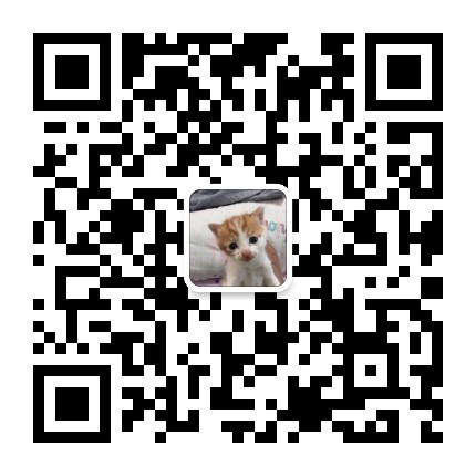 上海宠物领养救助站