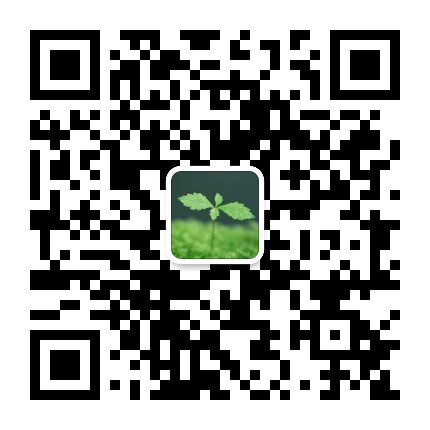川半夏高效栽培新模式半夏的药用价值以及用量 种药材 微信公众号文章阅读 Wemp