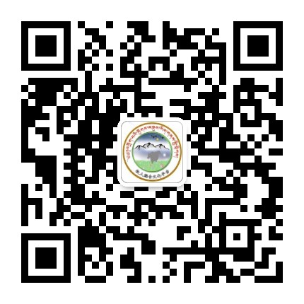 牧人综合文化平台