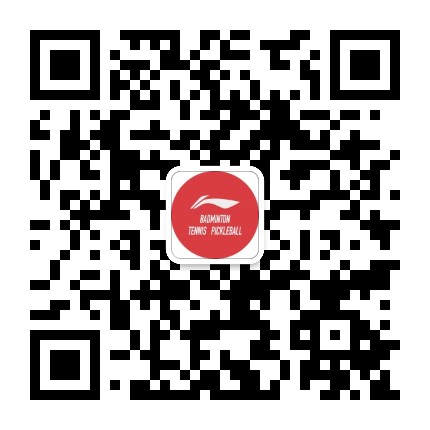 李宁羽毛球
