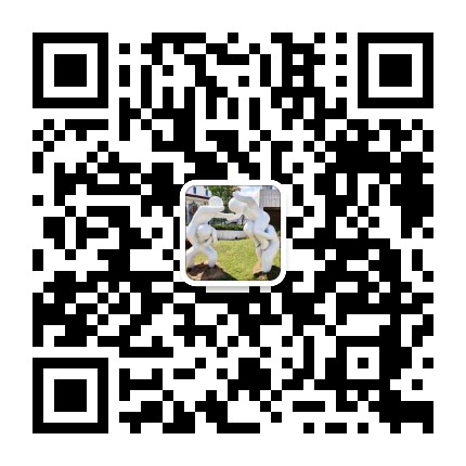 鲁家峙红石体育公园公众号二维码