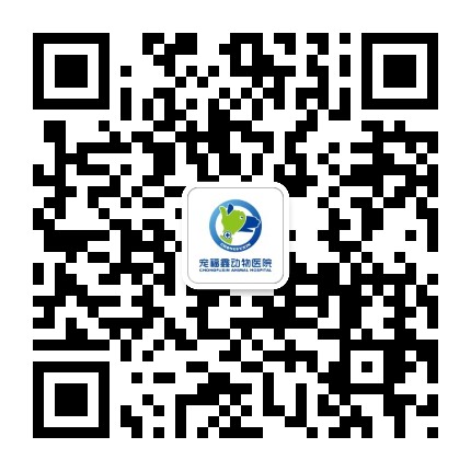 宠福鑫动物医院