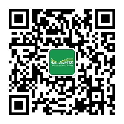 神经动力学NDS