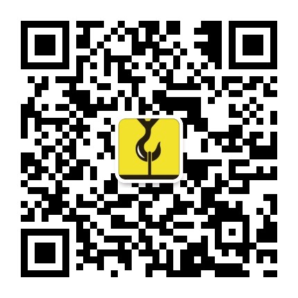 了不起的中国制造