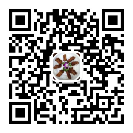 博越妈妈美食记