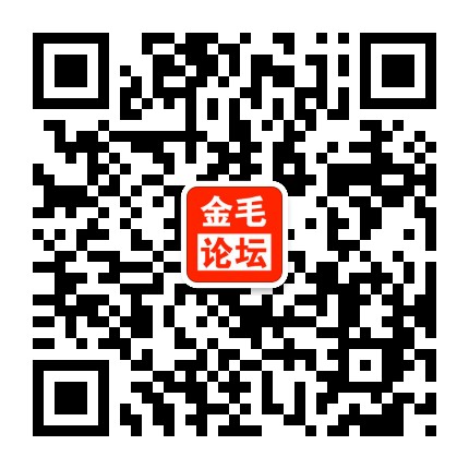 金毛