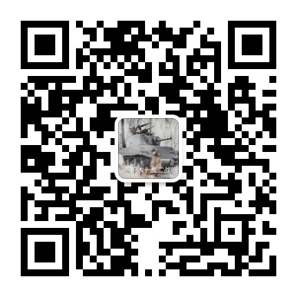 积木一战二战吧