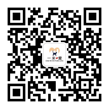 一米爱流浪猫救助团队