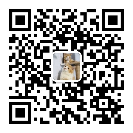 饭饭的宠物江湖