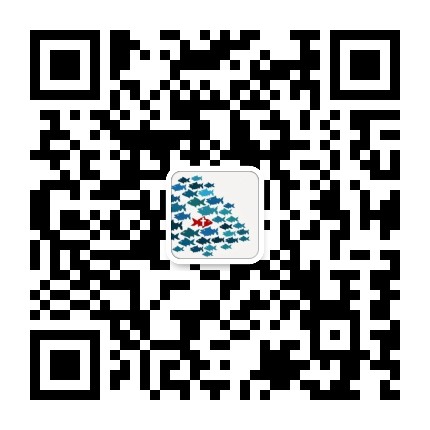 杨太太的成长日记