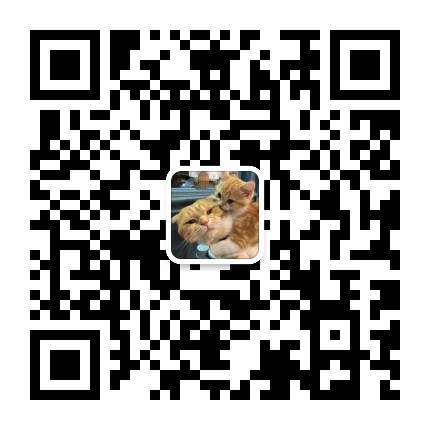 猫咪爱上喵星人