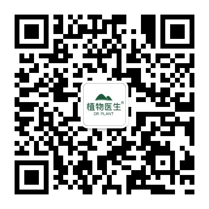DRPLANT植物医生