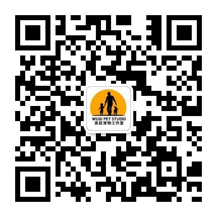 吴起宠物工作室