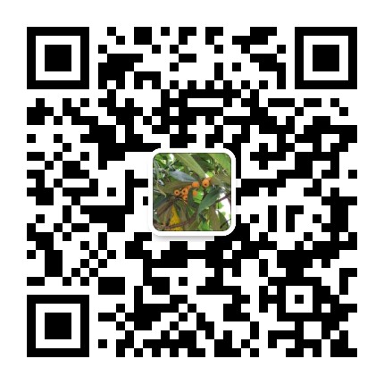 互聯網流量的那些事