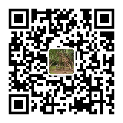 禾溪森林童乐园