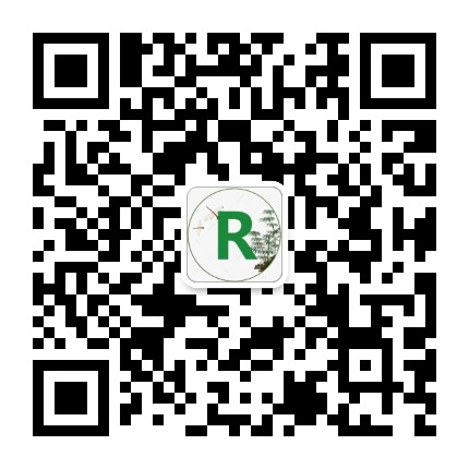 R语言与数学建模