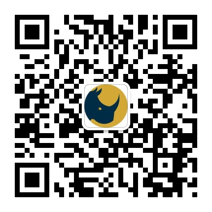 阿勒颇犀牛工作室