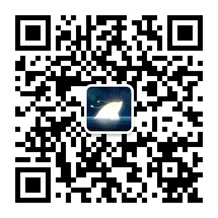 大鱼的数据人生