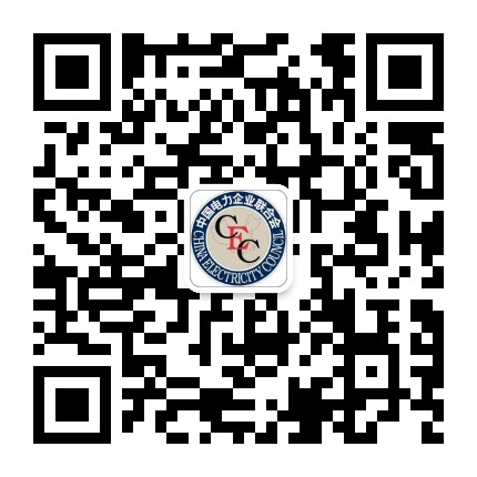 中电联电动交通与储能分会