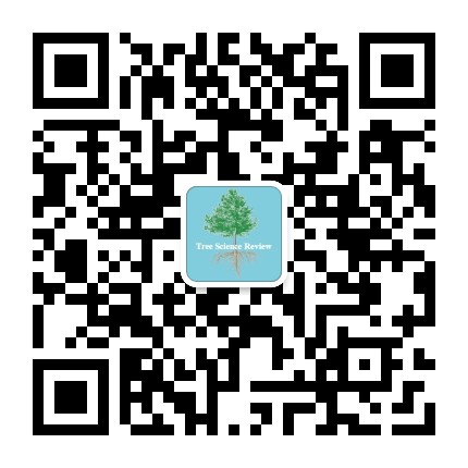 林木科学评论