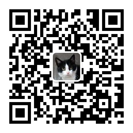 上海流浪猫爱心领养