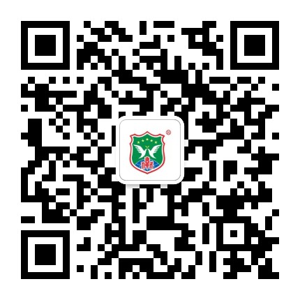 陈村镇伟才幼儿园公众号二维码