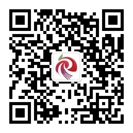 广州从化发布公众号二维码