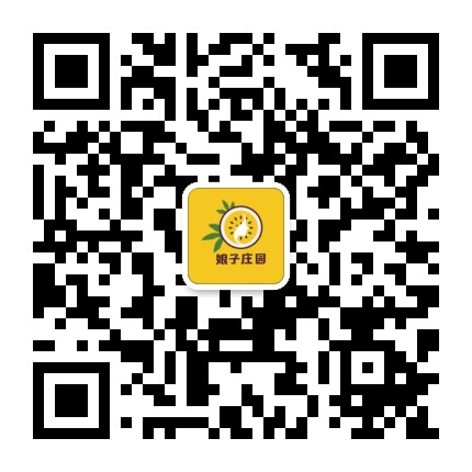 娘子庄园公众号二维码