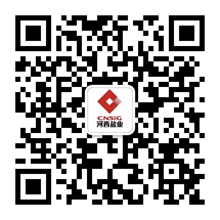 中盐甘肃河西盐业公众号二维码