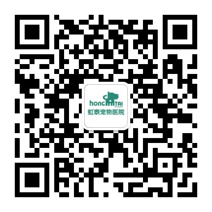 杭州虹泰宠物医院公众号二维码